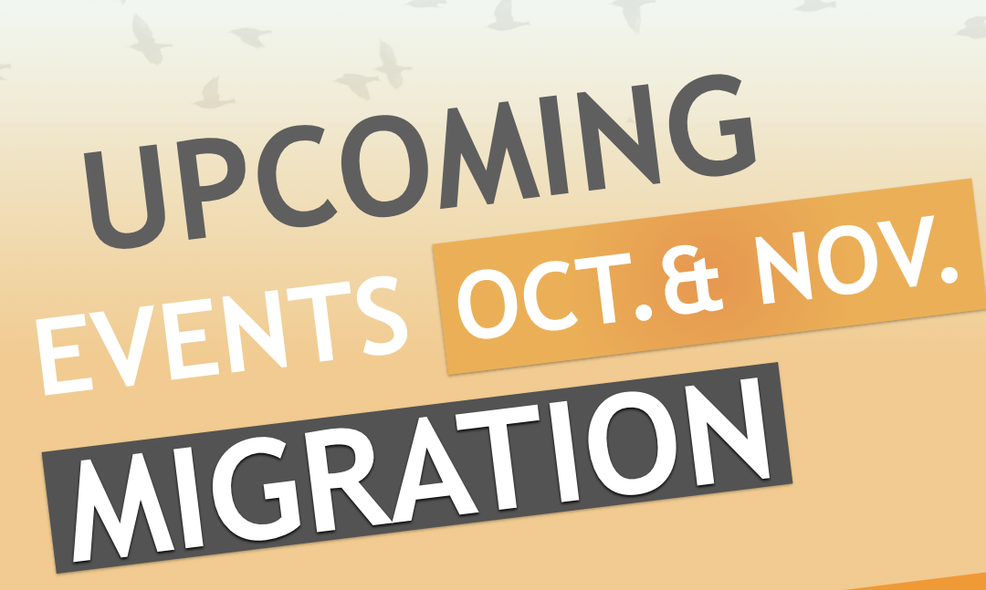 Join the Diesis Network events on MIGRATION !
